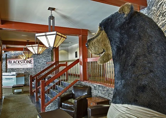 Blackstone Mountain Lodge By Clique