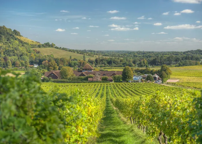 Denbies Vineyard Hotel