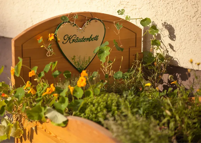 Garten - Hotel Sallerhof