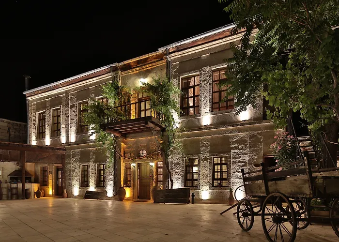Elif Stone House