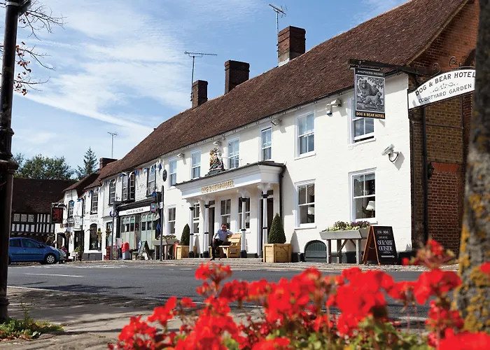 The Dog & Bear Hotel