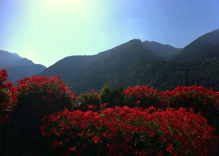 Hotel Pyrenees