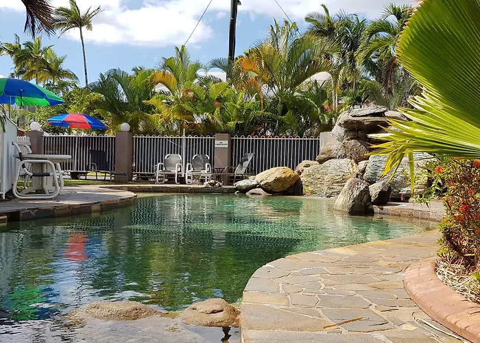 Reef Palms