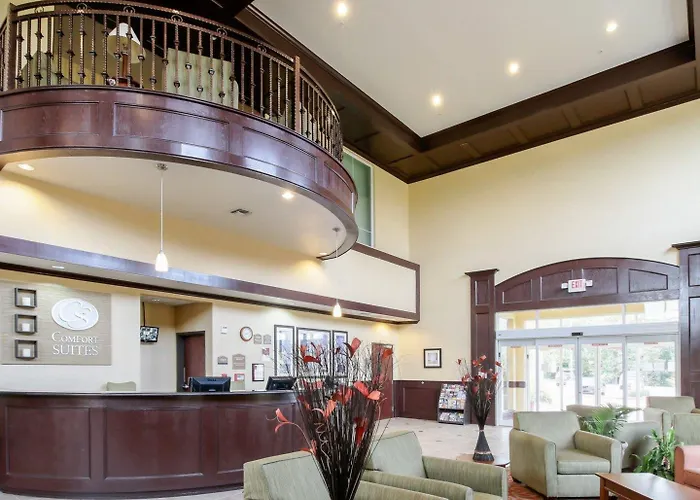 Comfort Suites Palestine