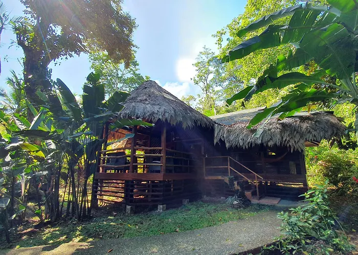 Cariblue Beach And Jungle Resort