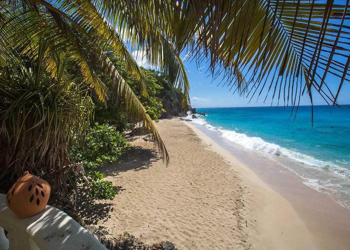 The Palace At Playa Grande