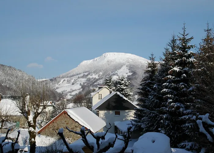 Le Castelet Sancy - Jardin & Spa