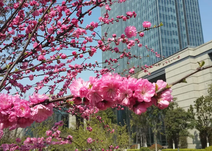 Sheraton Qingdao Jiaozhou Hotel
