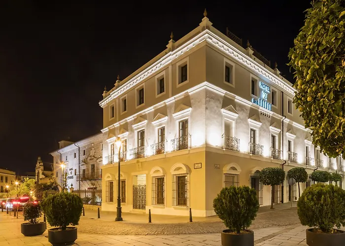 Hotel Ilunion Merida Palace