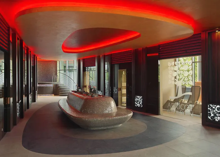 Four Points By Sheraton Kecskemet Hotel And Conference Center