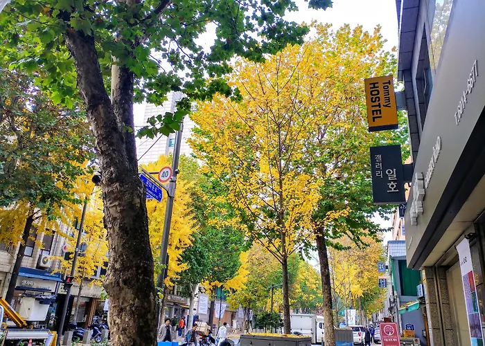 Hostel Tommy Jongno ---- Tax Return Authorized Shop