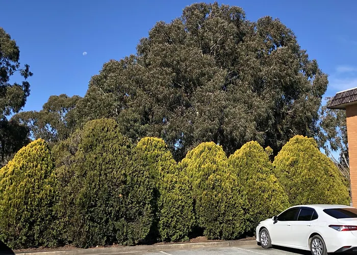 Canberra Lyneham Motor Inn