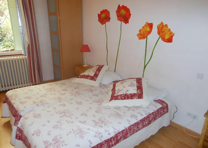 Logis Le Printemps Hotel Restaurant - Montelimar