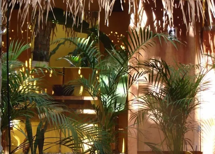 Hostal San Pancho