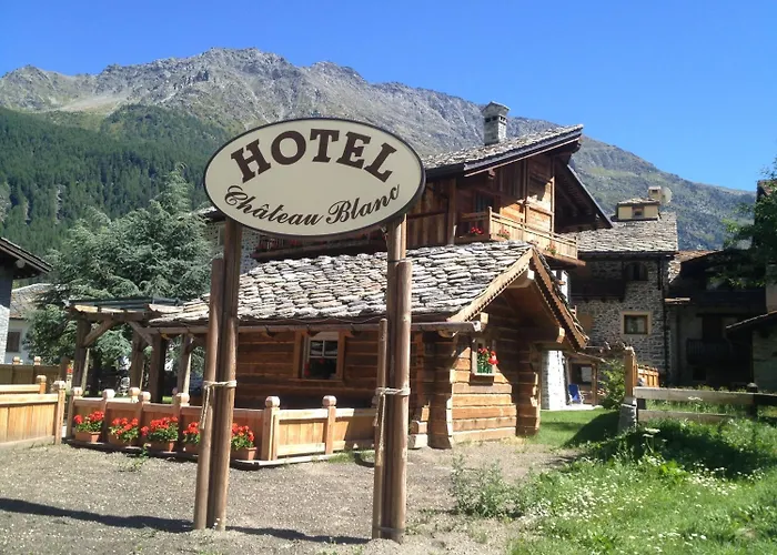 Hotel Chateau Blanc