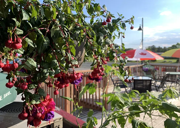 Bavarian Inn