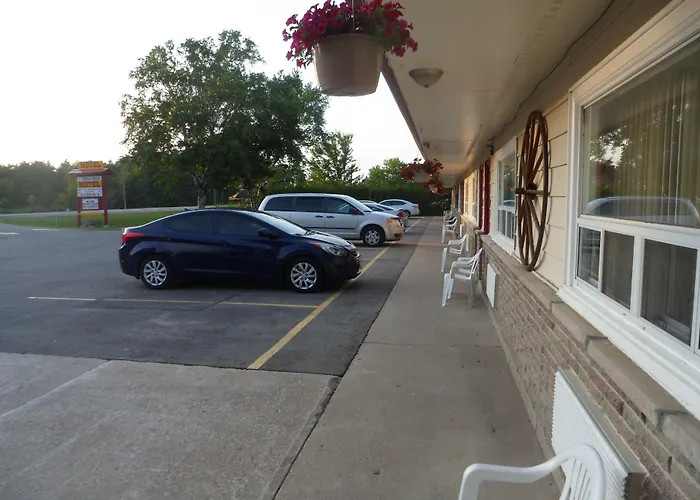 The Silver Birch Motel