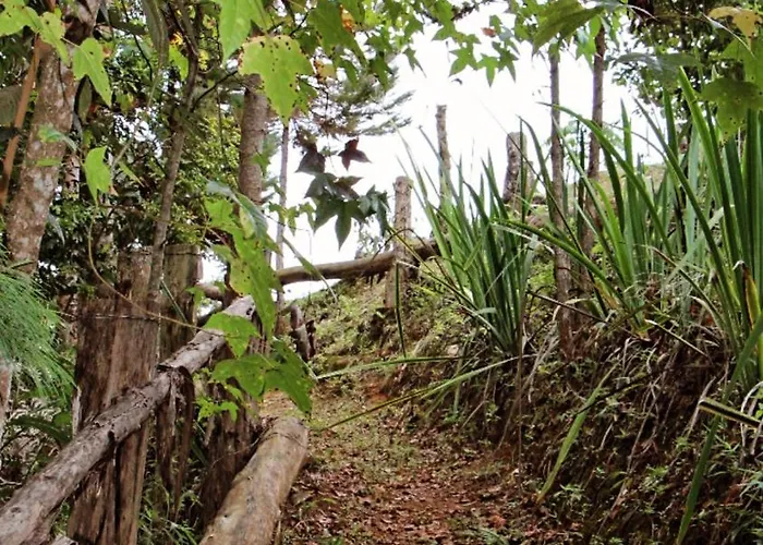 Pousada Casa Primitivus