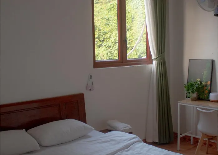 Lazy Cat Homestay - Motorbikes Rental & Tours
