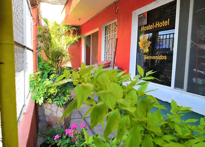 Hostal Maple
