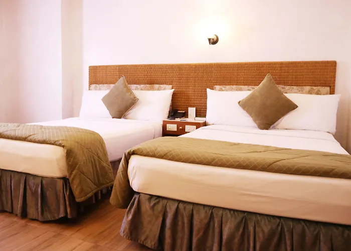 The Golden Pine Hotel