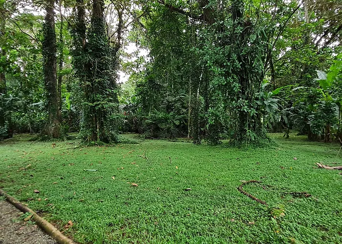 Ciudad Perdida Ecolodge