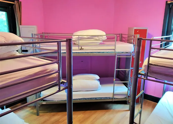 The Phoenix Hostel Paddington