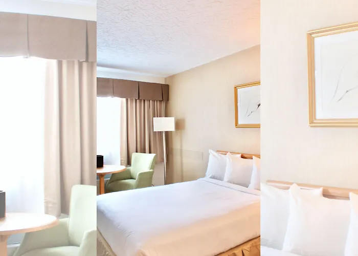 Motel Mistral