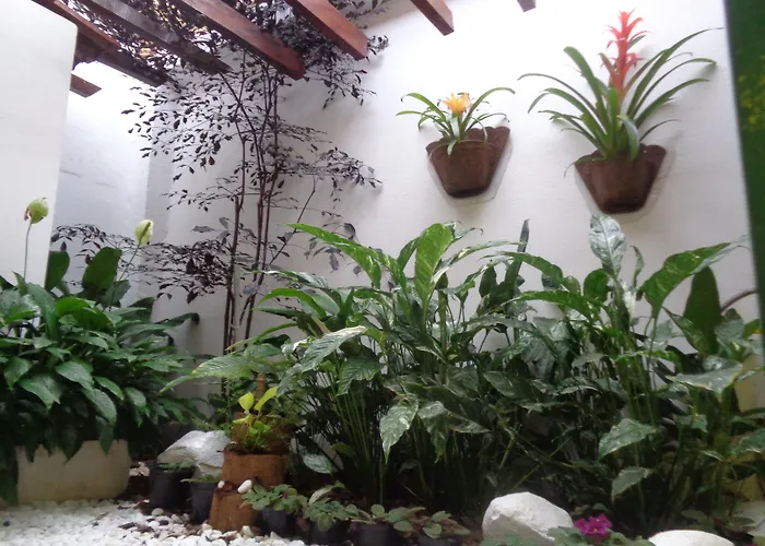 Rio Claro Plaza Hotel