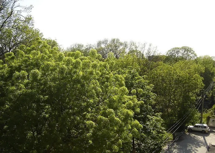 Central Park Family Hotel