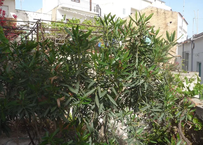Hostel Stylianos Kissamos