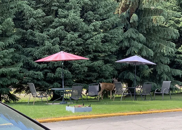 Evening Star Motel