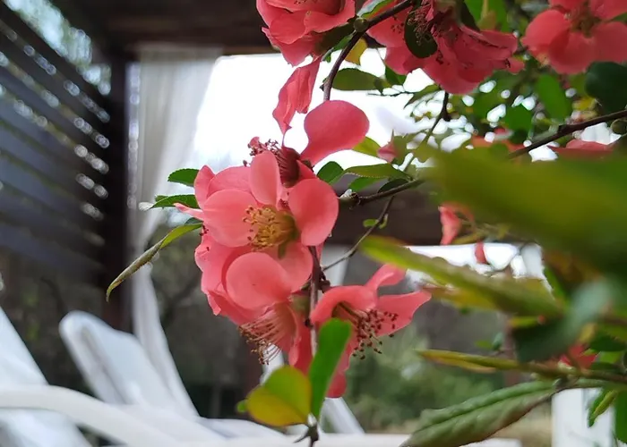 Hotel Boutique Spa & Sushi Posada De Campo-Solo Adultos