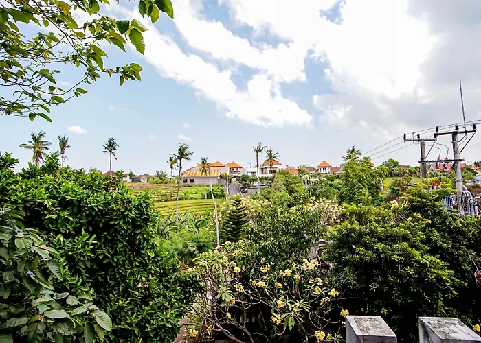 Best Canggu Hostel