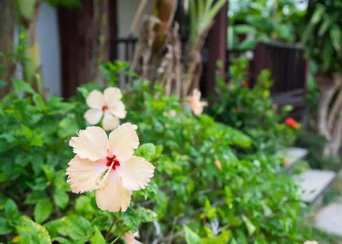 Weekender Bungalow
