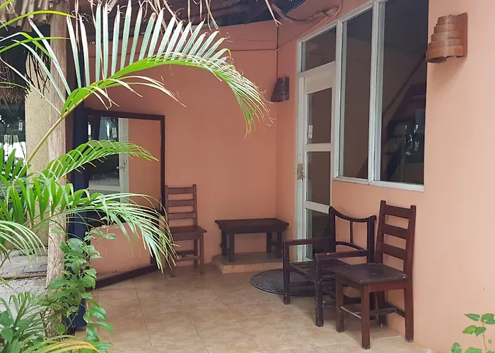 Hotel La Palapa