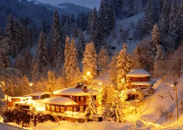 Ayder Avusor Hotel