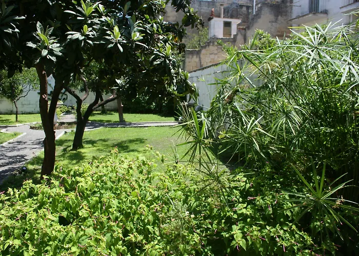 Urban Oasis Hostel