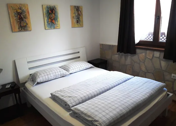 Hotel Sinan Han