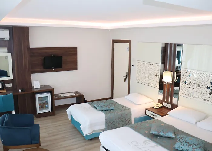 Rest Inn Aydin Hotel