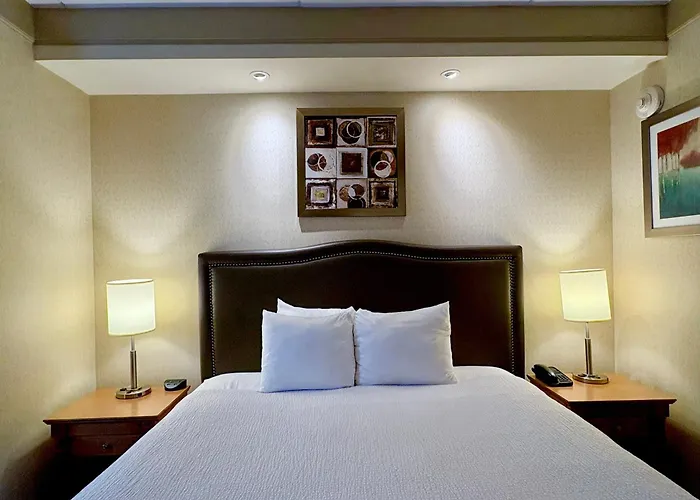 Waterloo Suites Hotel, Trademark Collection By Wyndham