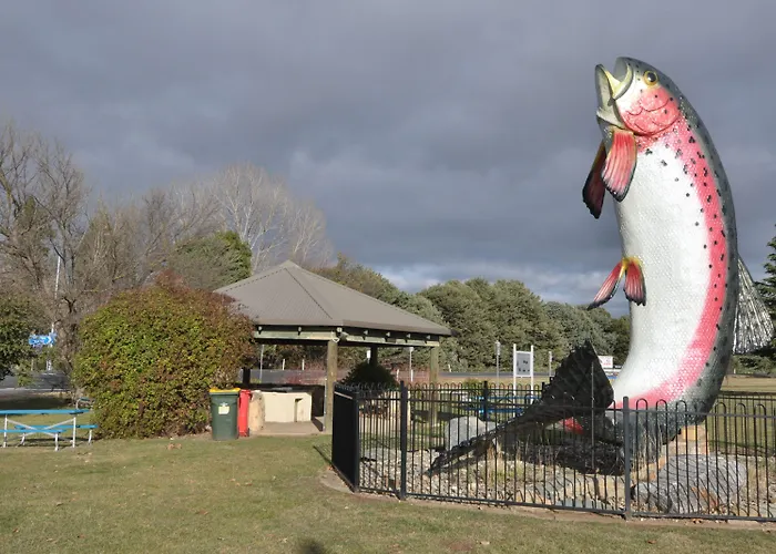 Selwyn Star Motel