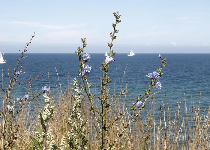 Hotel Strand26 an der Ostsee