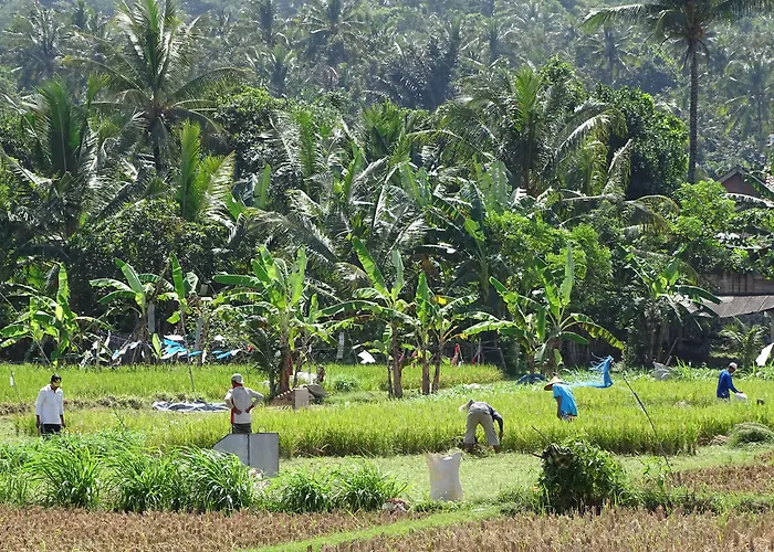 Bale Solah Lombok Holiday Resort