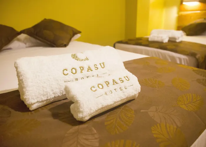 Copasu Hotel