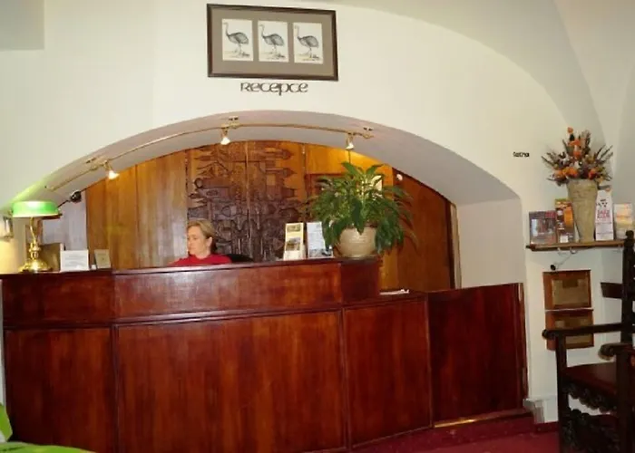 Hotel U 3 Pstrosu