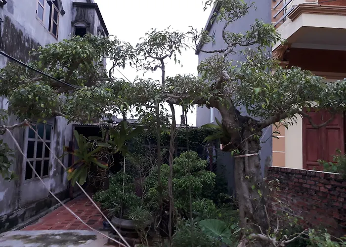 Tam Coc White Swan Homestay