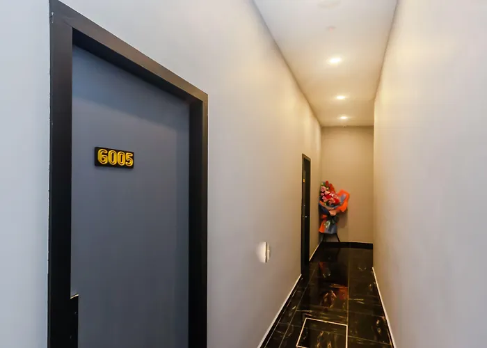 Solid Hotels