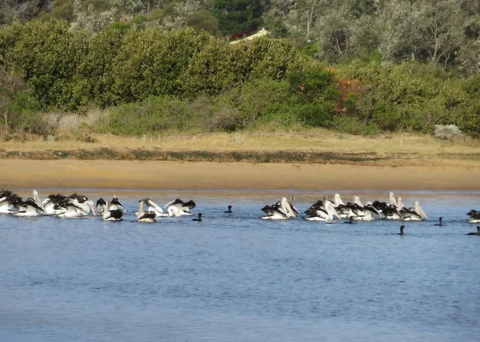 Lakes Entrance Waterfront Cottages With King Beds