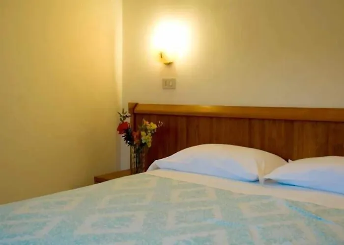 Hotel Viola